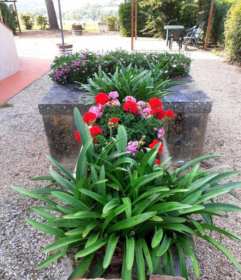 Agriturismo Boschetto Di Montiano Монтіано Екстер'єр фото