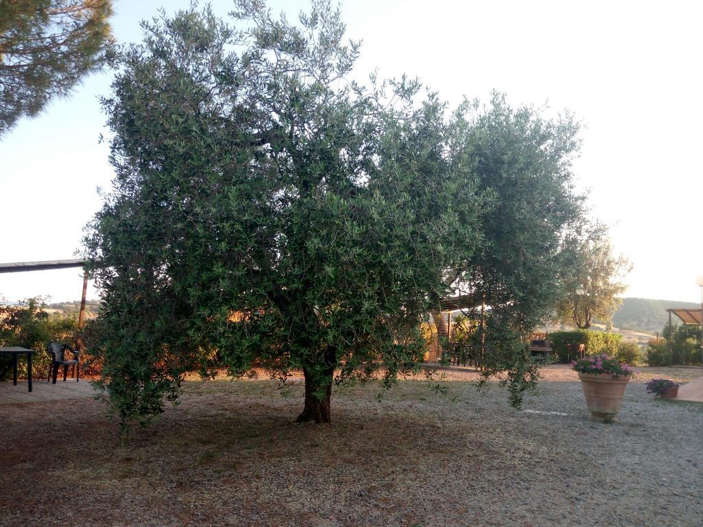 Agriturismo Boschetto Di Montiano Монтіано Екстер'єр фото