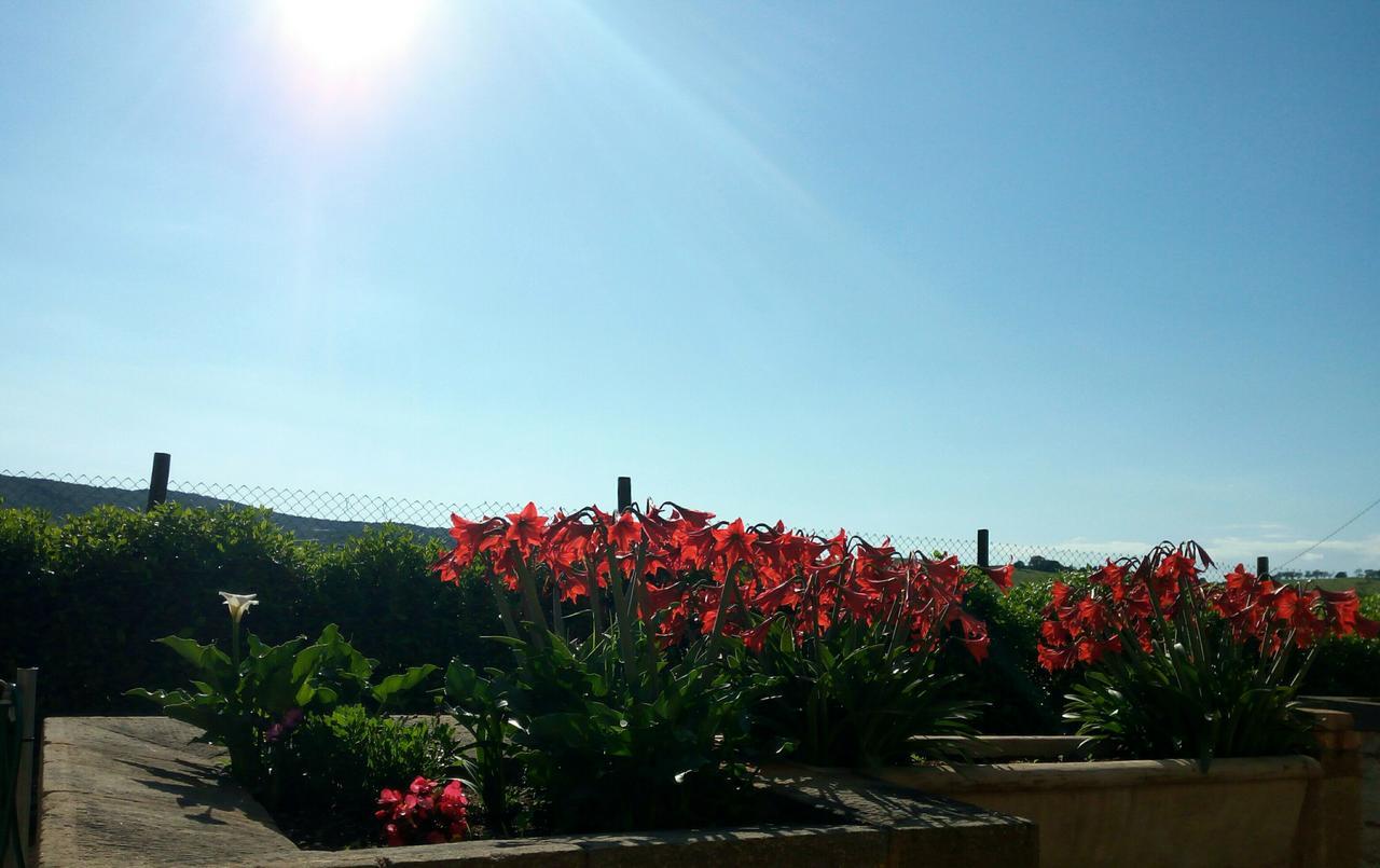 Agriturismo Boschetto Di Montiano Монтіано Екстер'єр фото